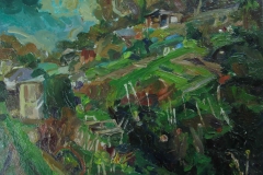 Hollingbury-allotments-1