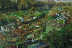 Hollingbury-allotments-2