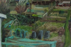 Hollingbury-allotments-3