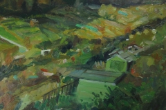 Hollingbury-allotments-4