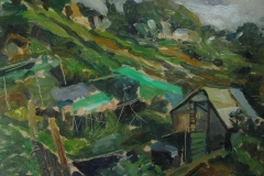 Hollingbury-allotments-5