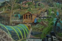 Hollingbury-allotments-7