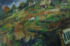 Hollingbury-allotments-8