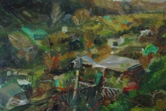 Hollingbury-allotments-9-from-the-east