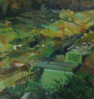 Hollingbury-Allotments-22 (sold)
