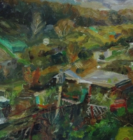 Hollingbury-allotments-26