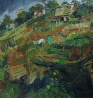 Hollingbury Allotments east slope