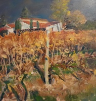 Vignes-en-autumn